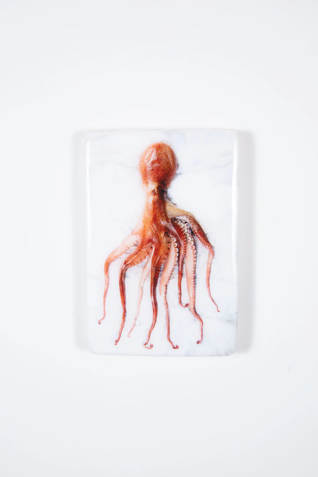 StigerWoods wooden tile Cooked Portuguese Octopus