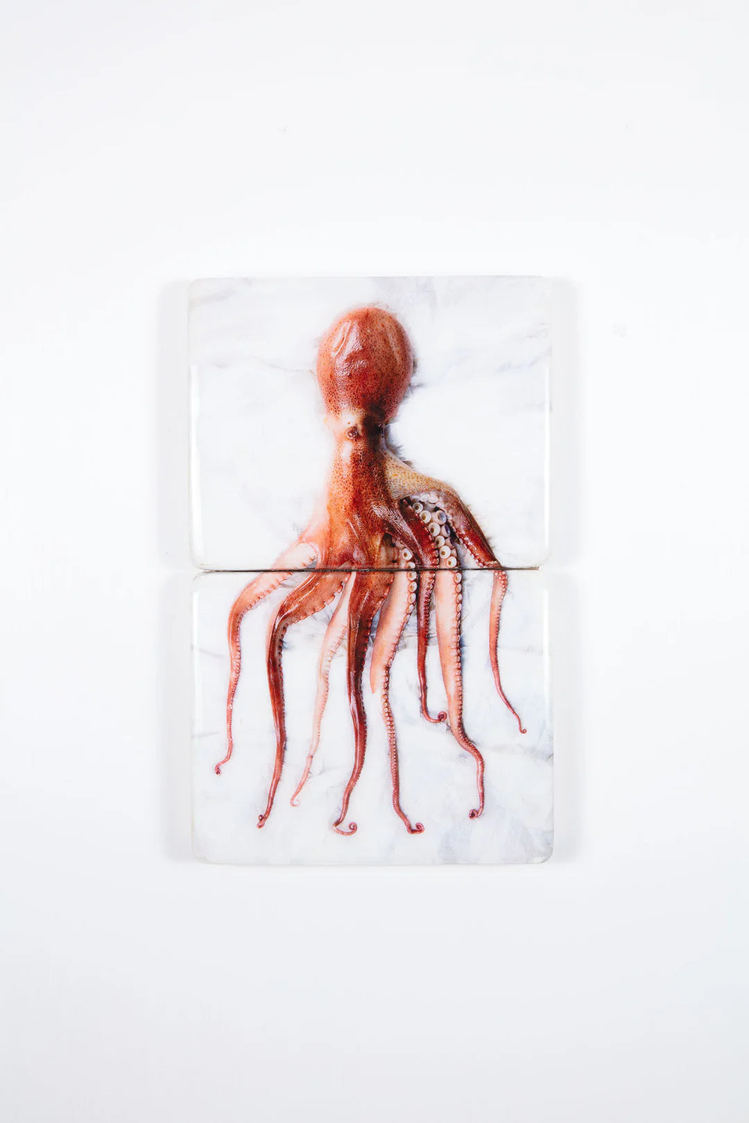 StigerWoods wooden tile Cooked Portuguese Octopus
