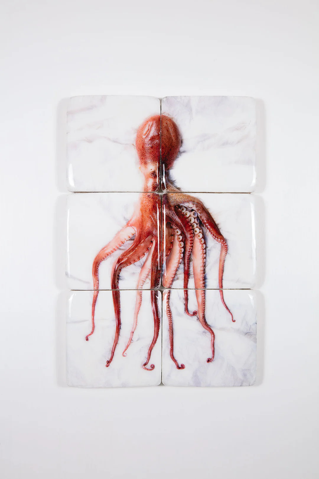 StigerWoods wooden tile Cooked Portuguese Octopus