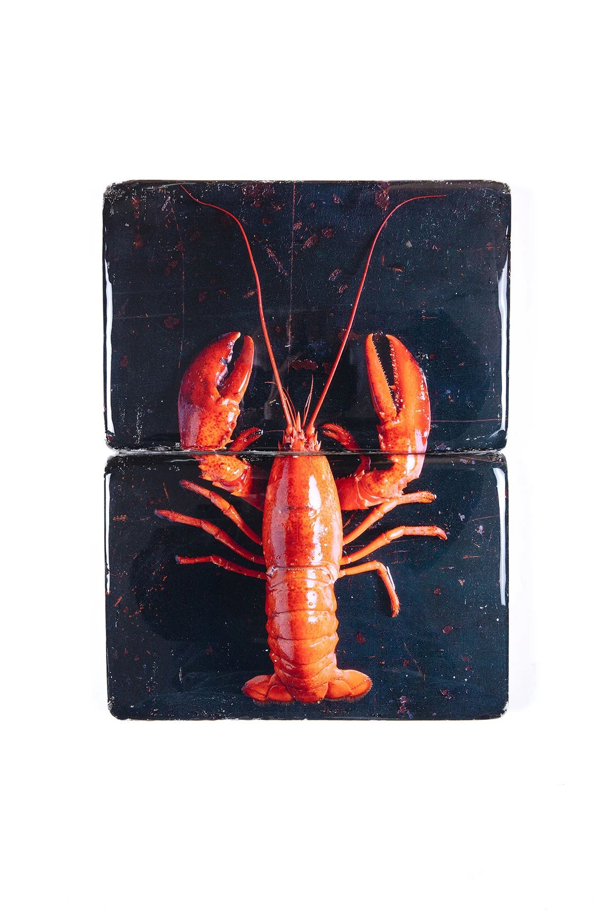 StigerWoods wooden tile Cooked Canner Lobster on Black