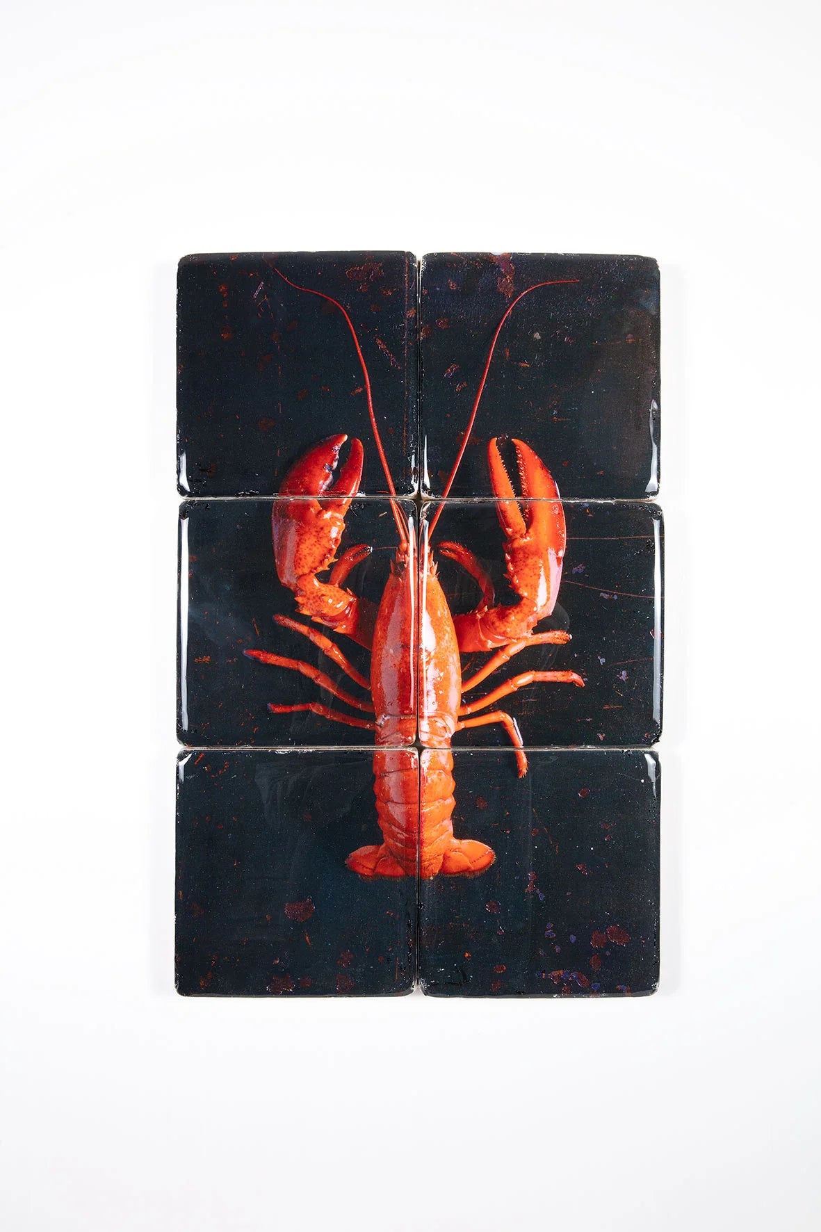 StigerWoods wooden tile Cooked Canner Lobster on Black