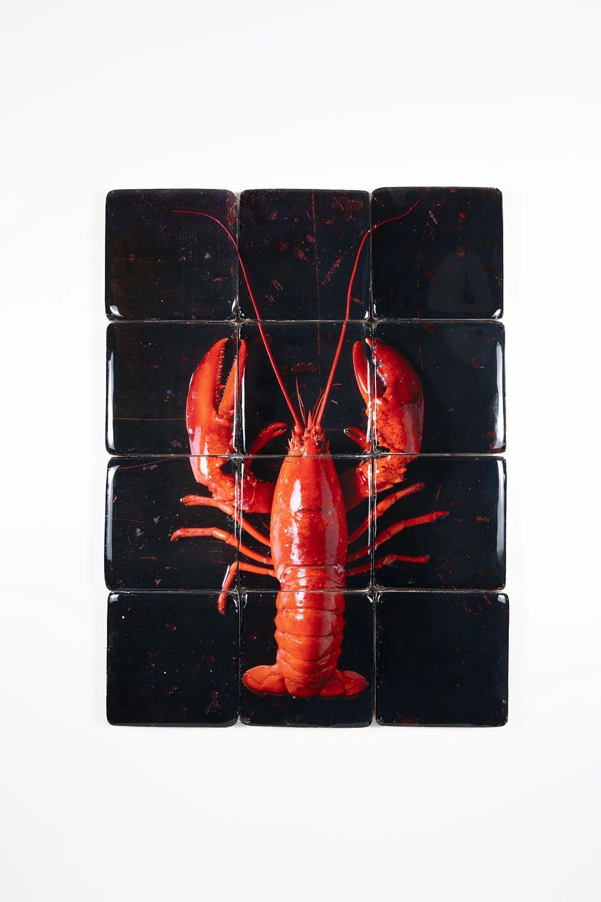 StigerWoods wooden tile Cooked Canner Lobster on Black