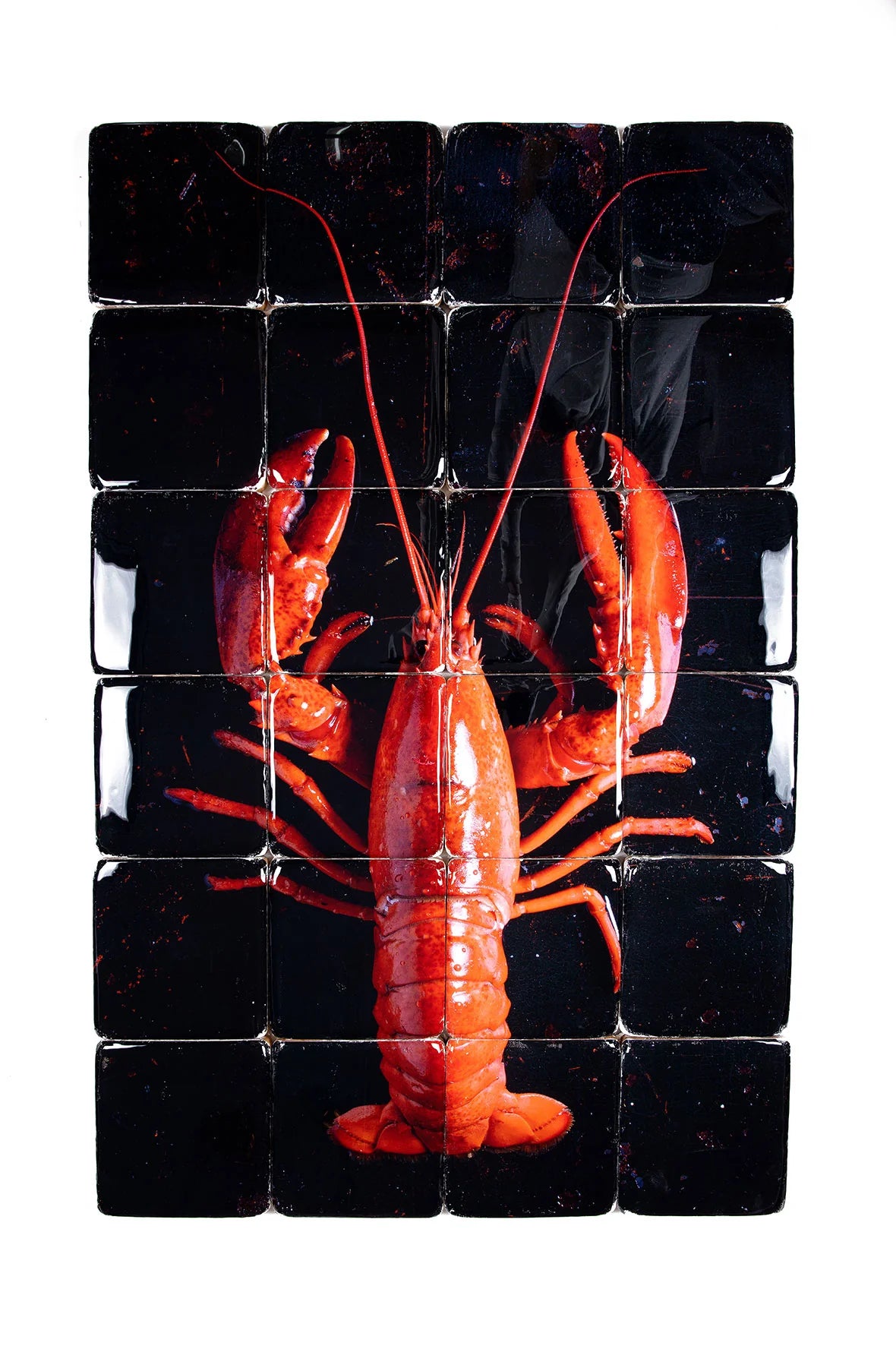 StigerWoods wooden tile Cooked Canner Lobster on Black