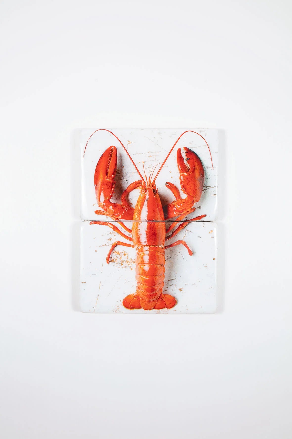 StigerWoods wooden tile Cooked Canner Lobster on White