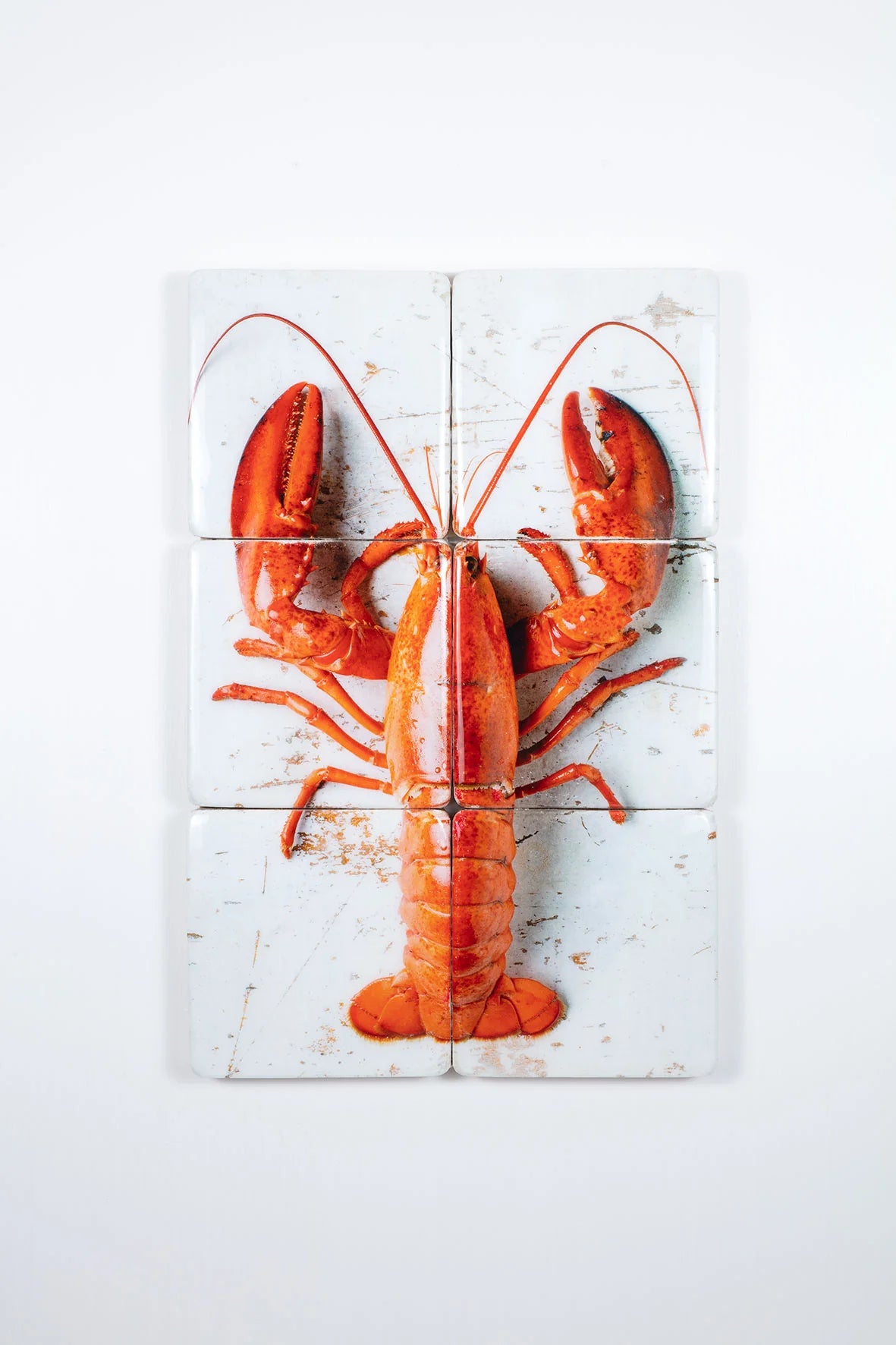 StigerWoods wooden tile Cooked Canner Lobster on White