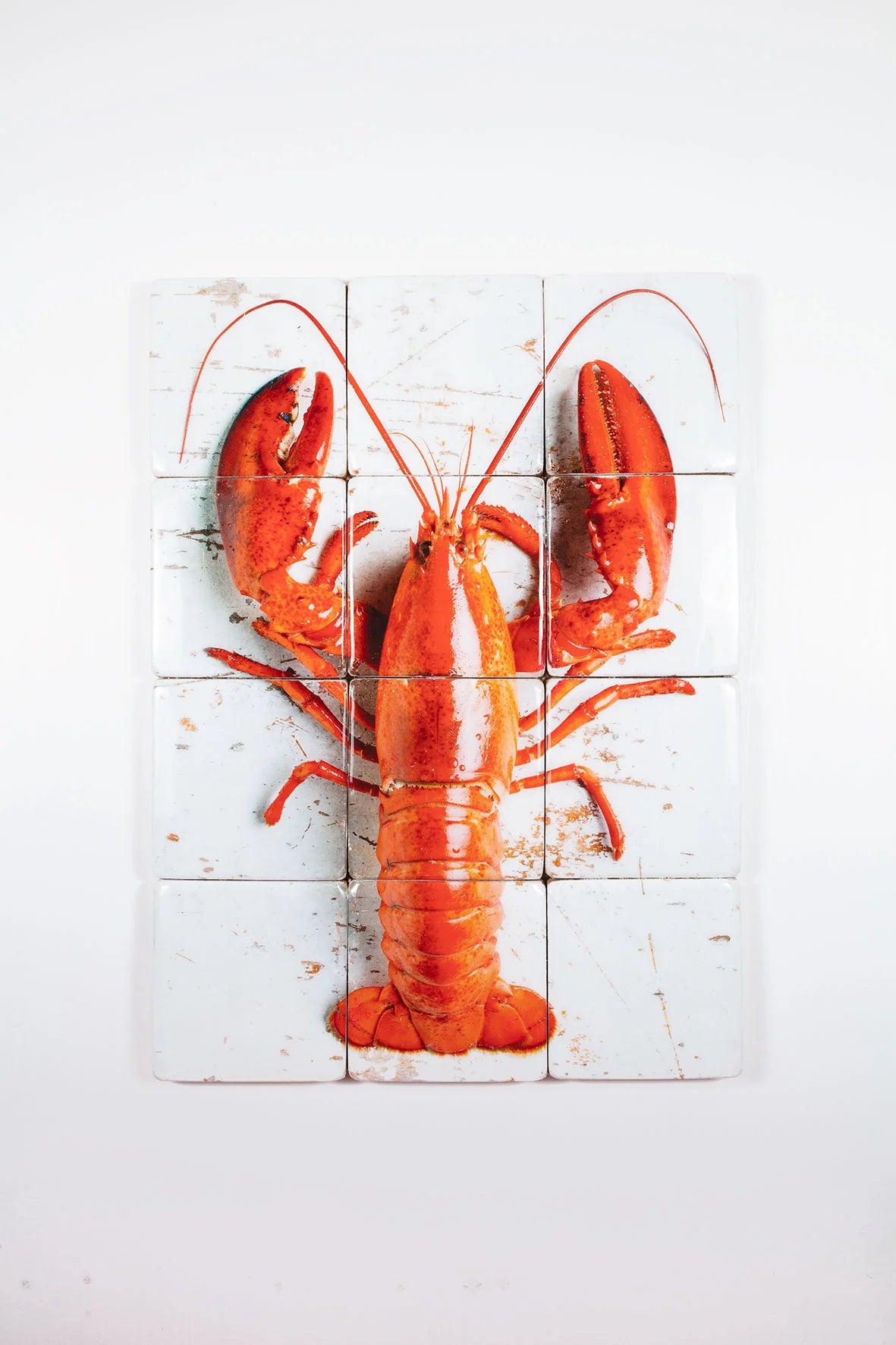StigerWoods wooden tile Cooked Canner Lobster on White