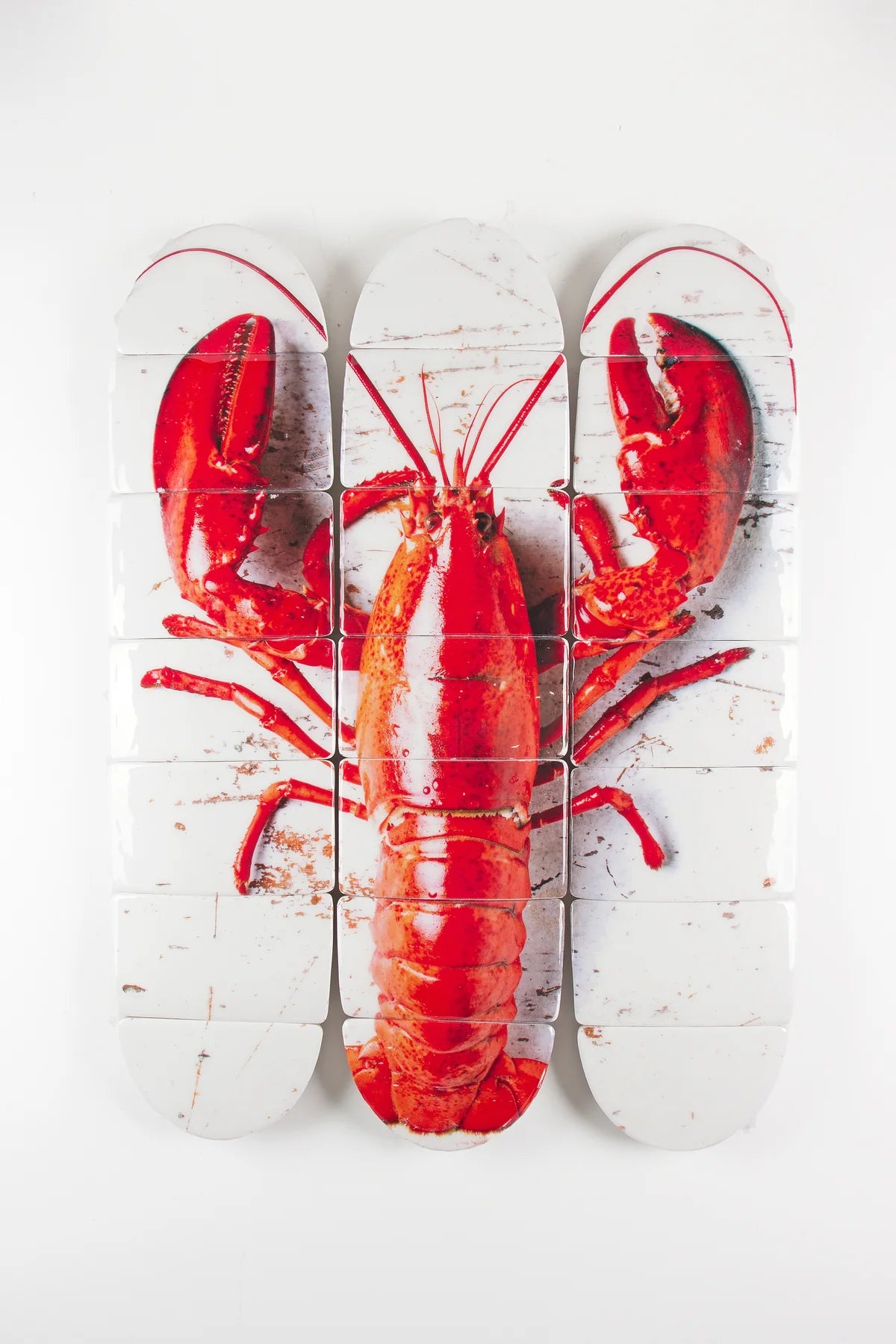 StigerWoods wooden tile Cooked Canner Lobster on White Decks