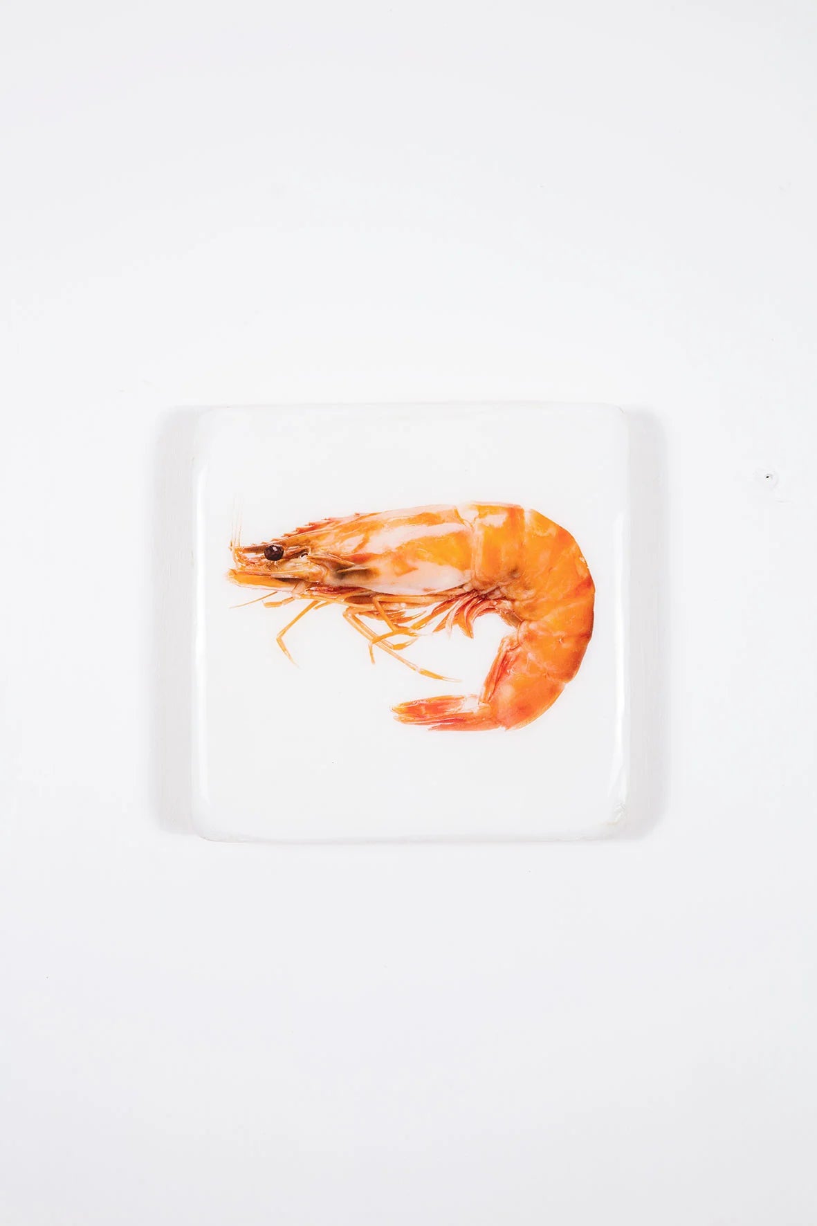 StigerWoods wooden tile Cooked Giant Shrimp