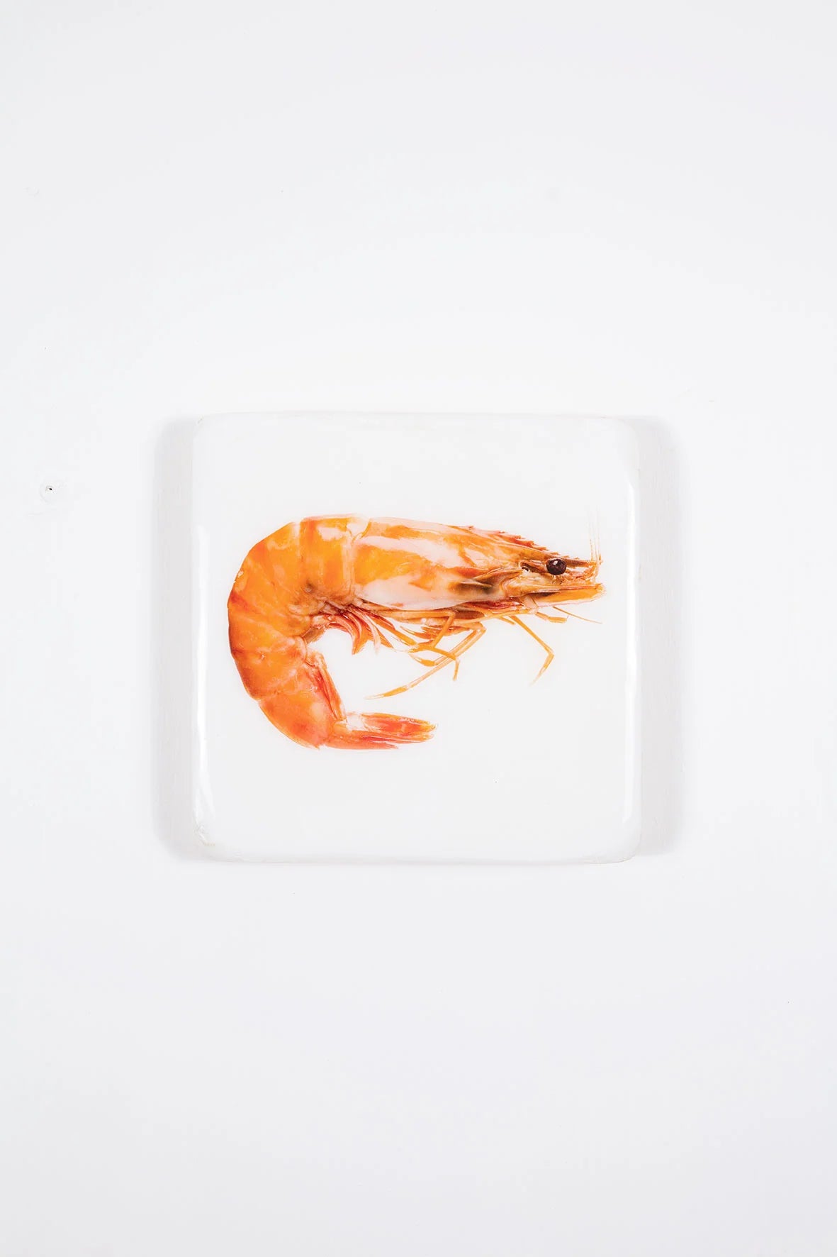 StigerWoods wooden tile Cooked Giant Shrimp