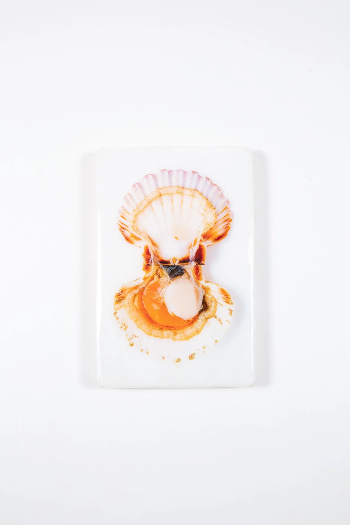 StigerWoods wooden tile Coquille