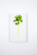 StigerWoods wooden tile Coriander