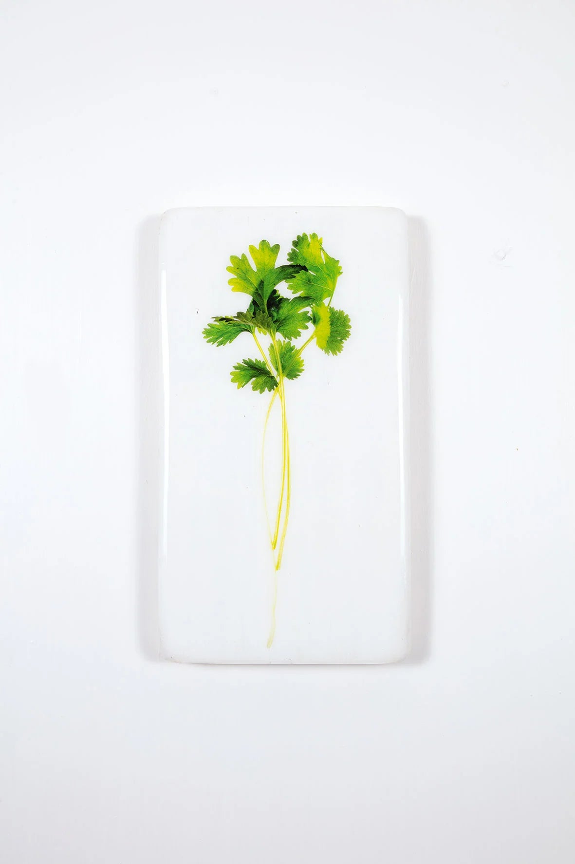 StigerWoods wooden tile Coriander