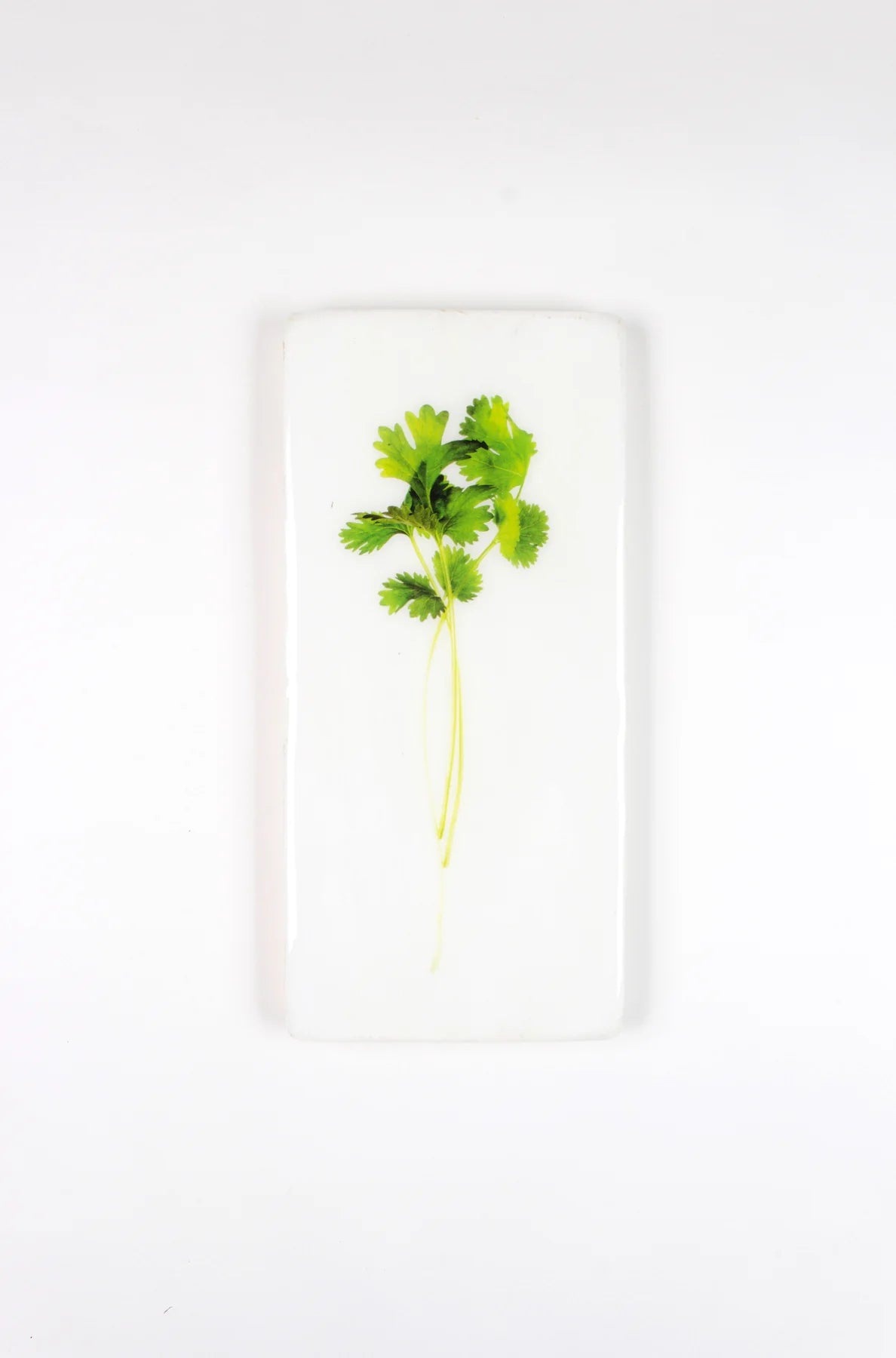 StigerWoods wooden tile Coriander