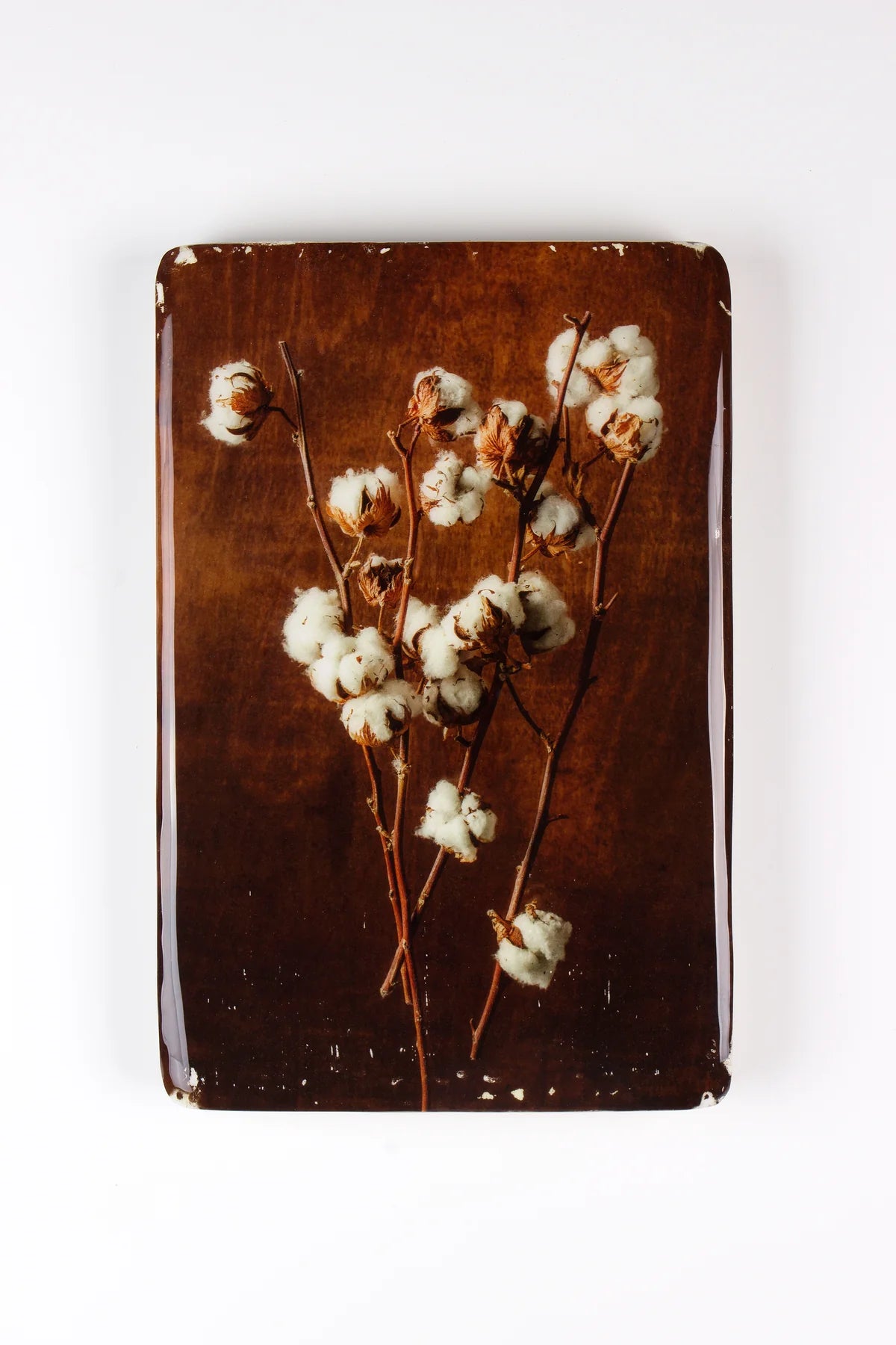 StigerWoods wooden tile Cotton Plant