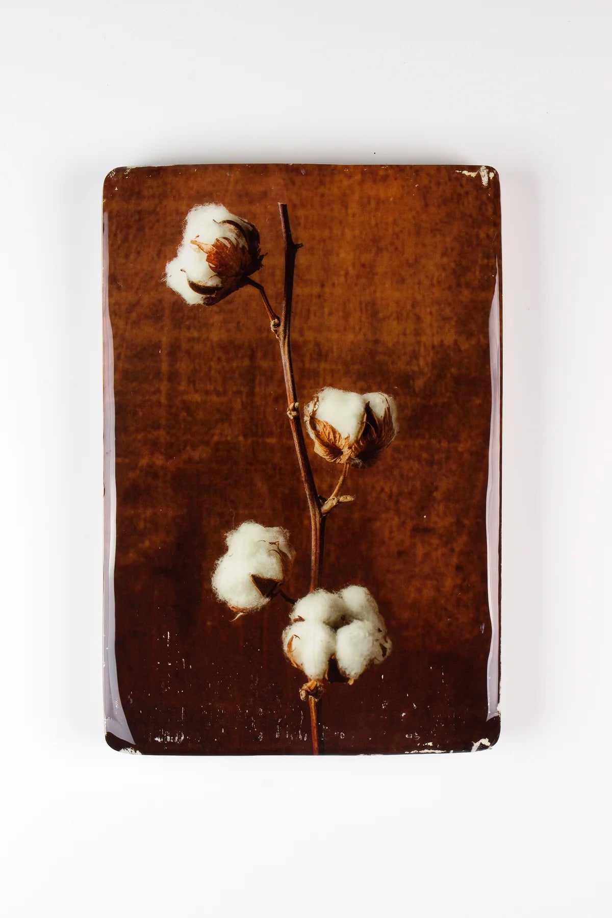 StigerWoods wooden tile Cotton Plant