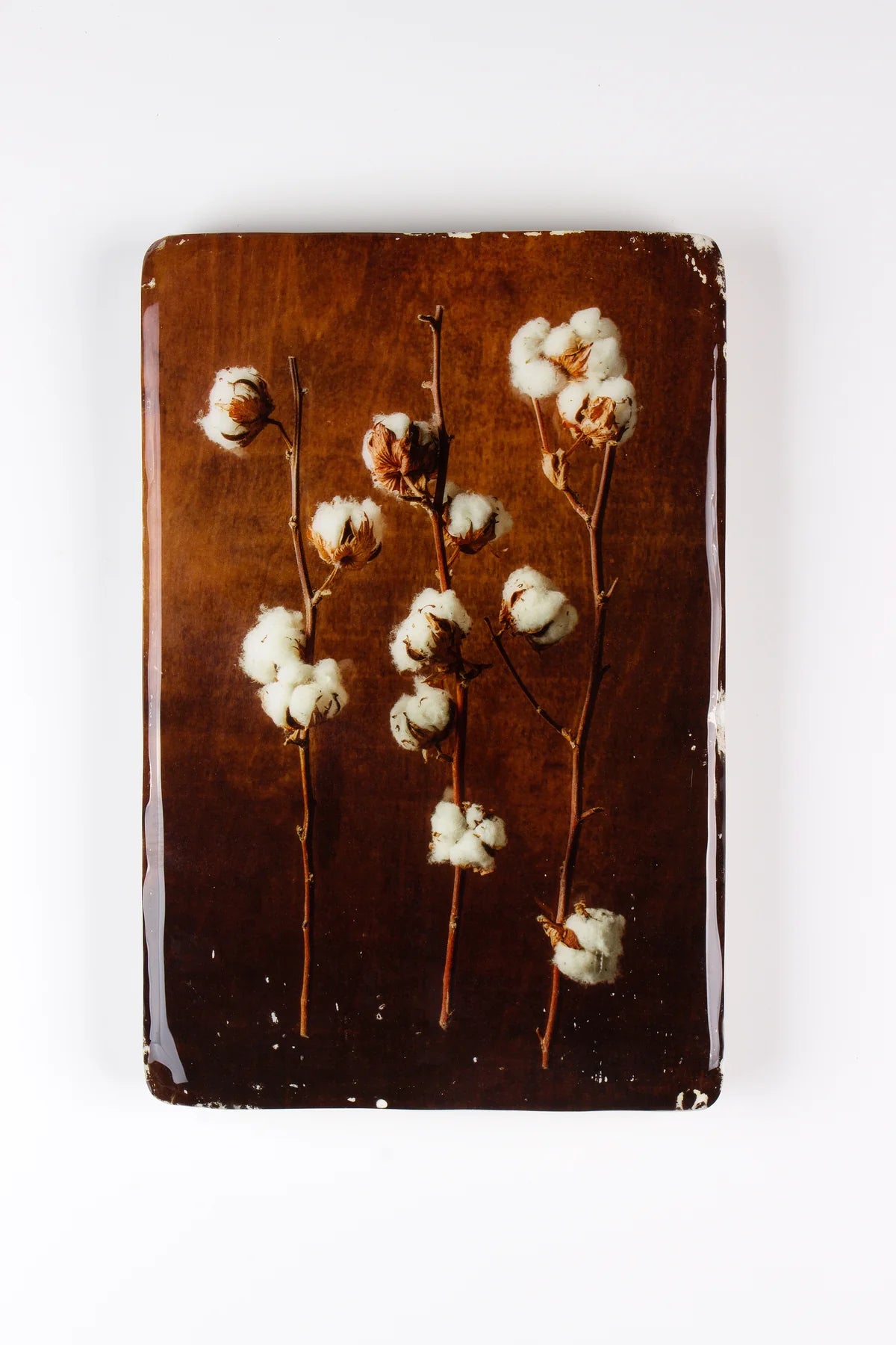 StigerWoods wooden tile Cotton Plant