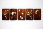 StigerWoods wooden tile Cotton Plant