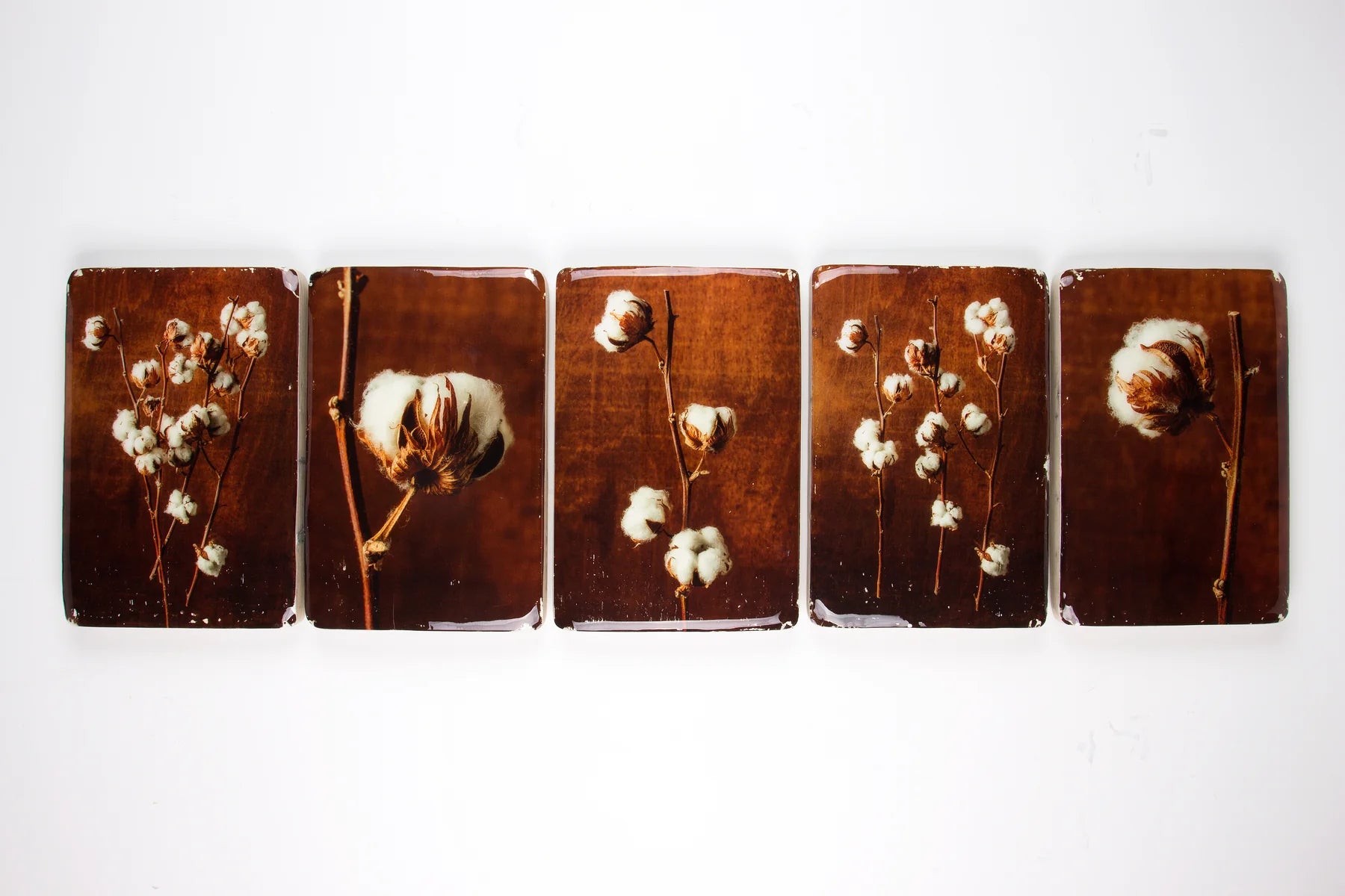 StigerWoods wooden tile Cotton Plant