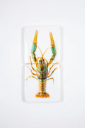StigerWoods wooden tile Crayfish