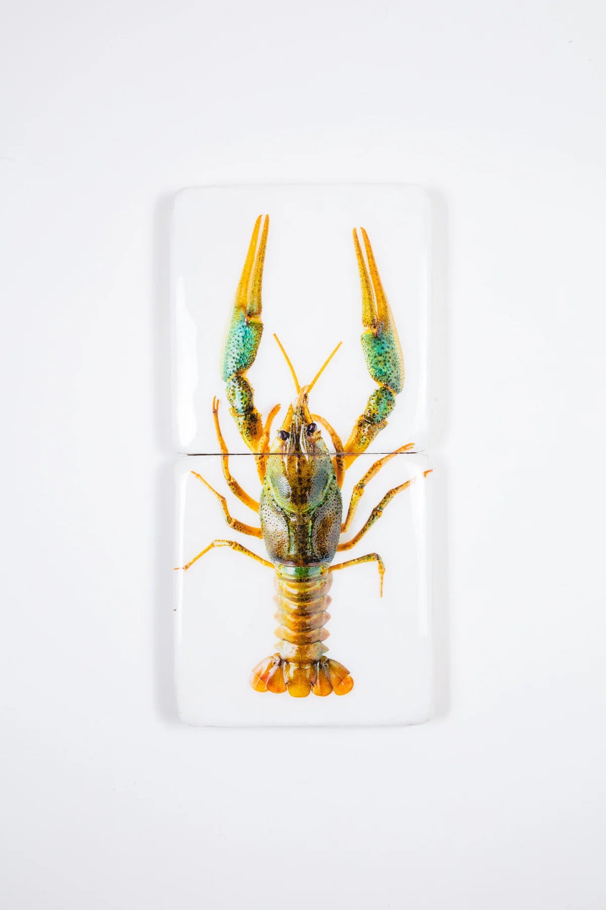 StigerWoods wooden tile Crayfish