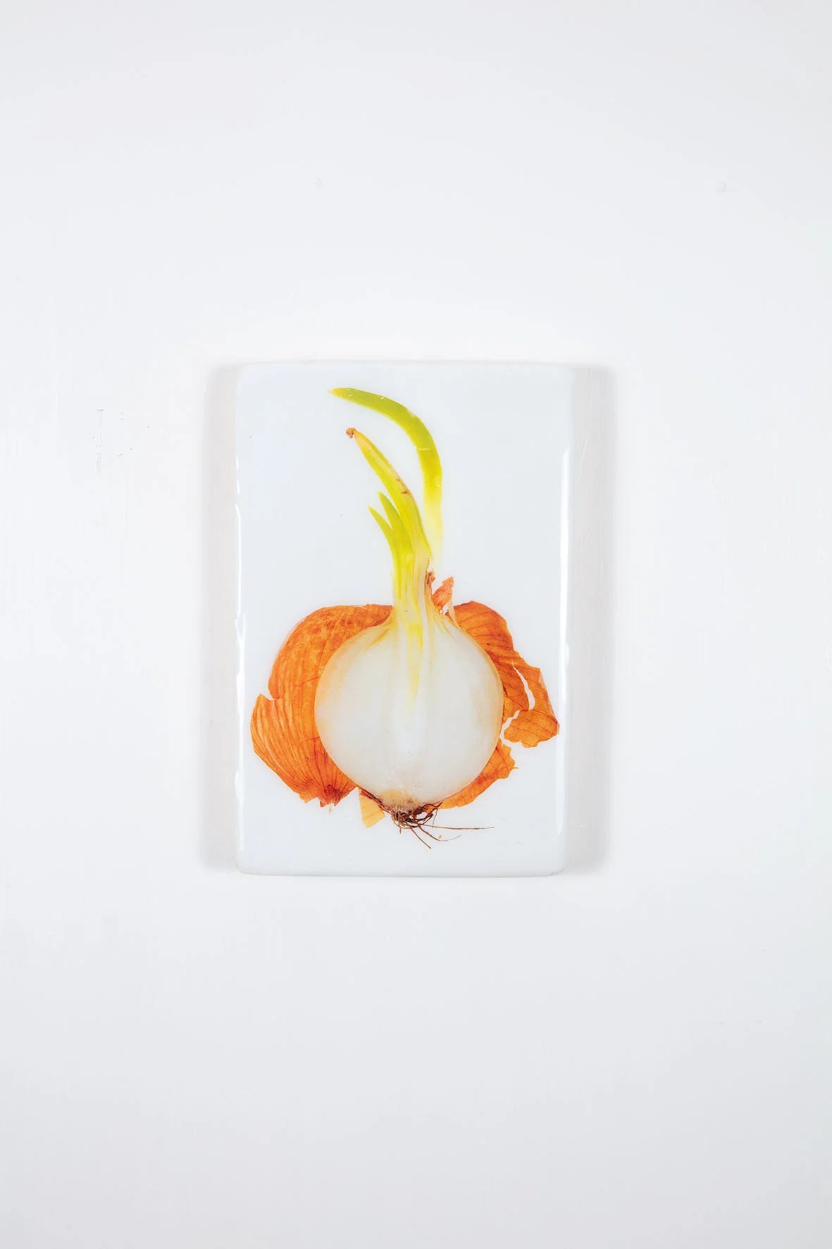 StigerWoods wooden tile Cut Smoked Onion