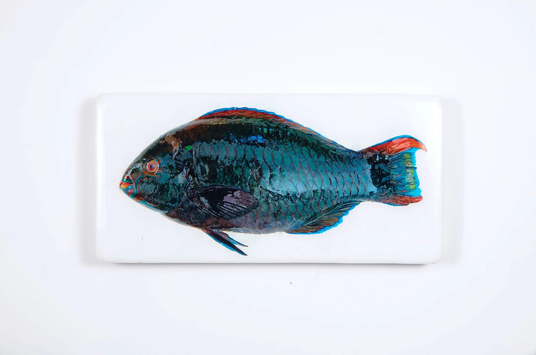 StigerWoods wooden tile Dark Green Parrot Fish