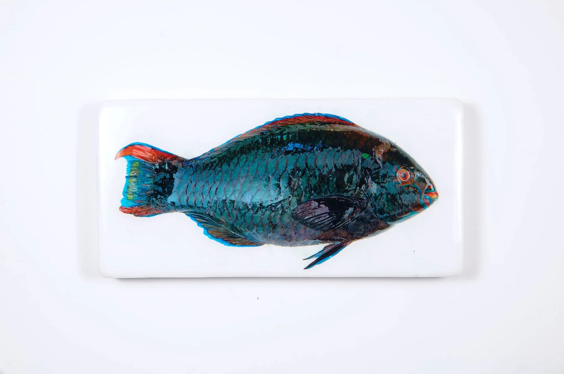 StigerWoods wooden tile Dark Green Parrot Fish