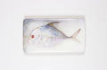 StigerWoods wooden tile Diamond Trevally