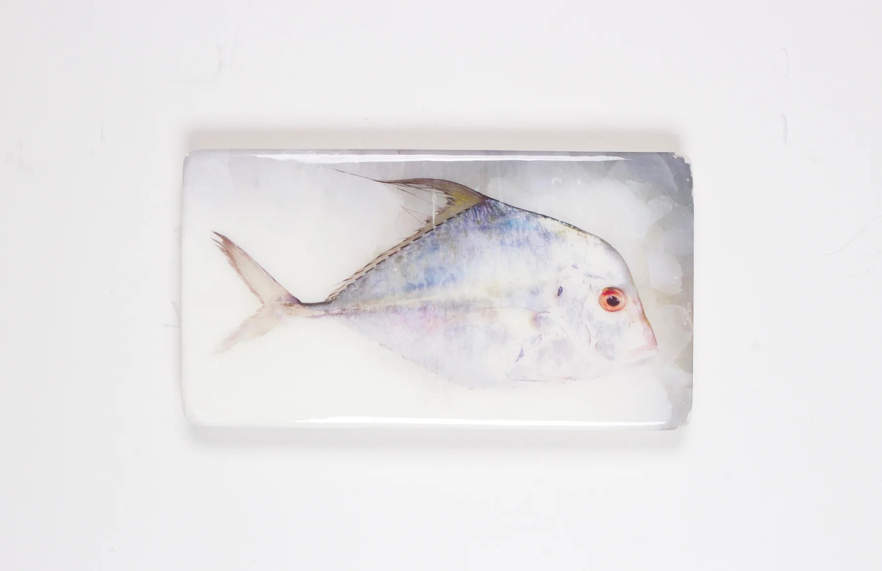 StigerWoods wooden tile Diamond Trevally