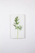 StigerWoods wooden tile Dill