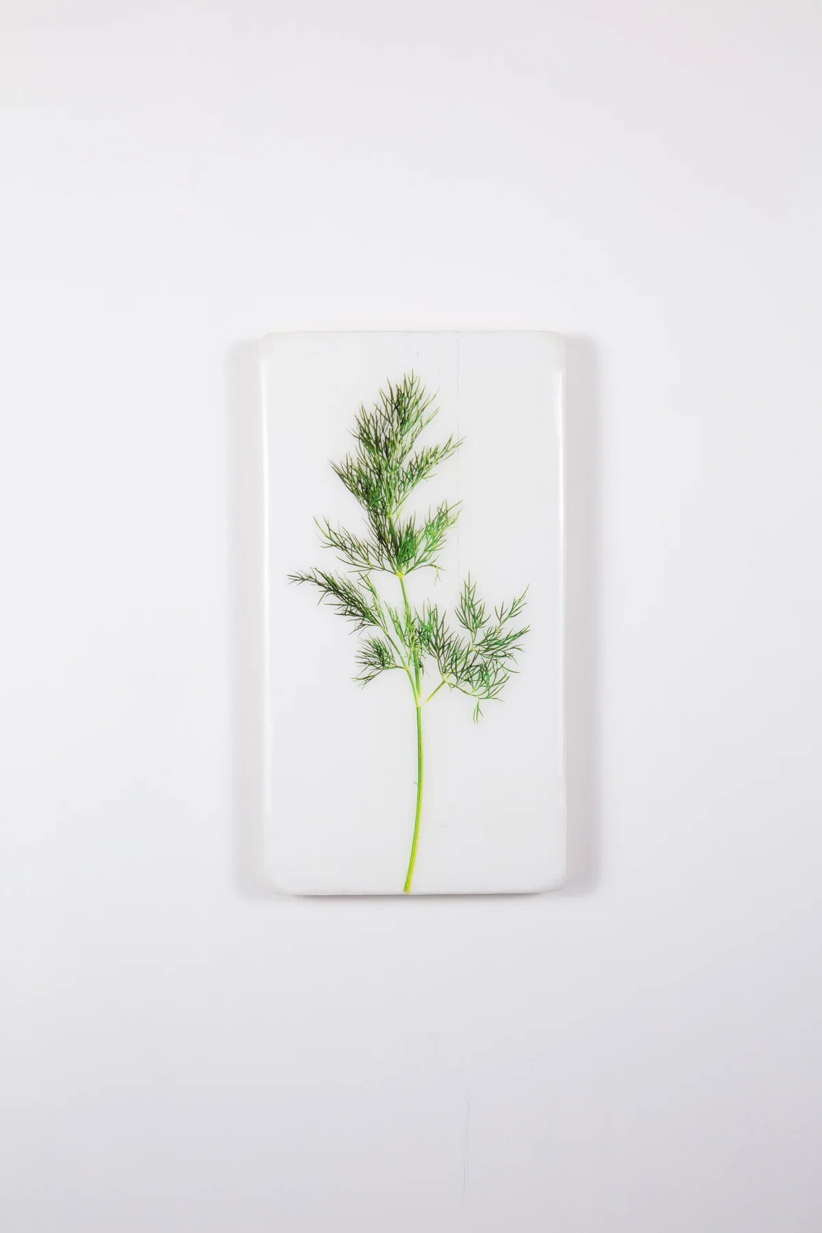StigerWoods wooden tile Dill