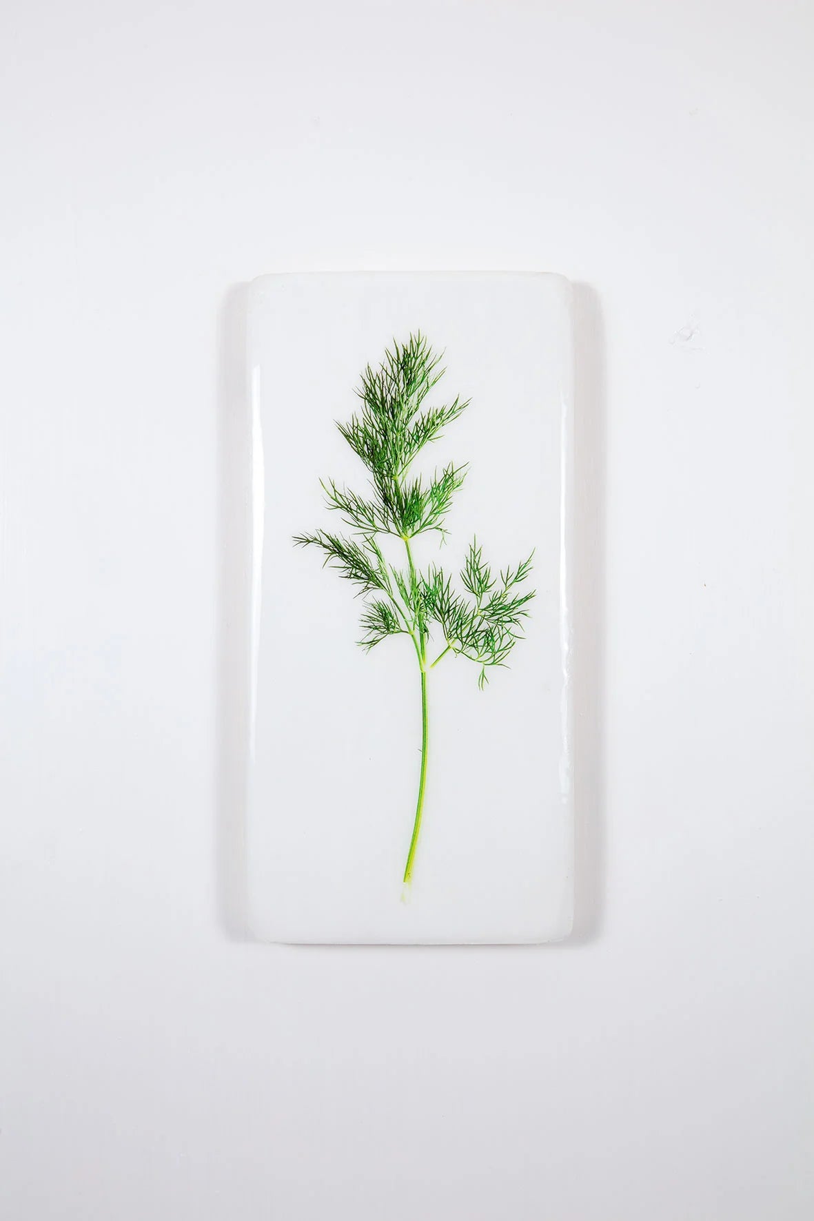 StigerWoods wooden tile Dill