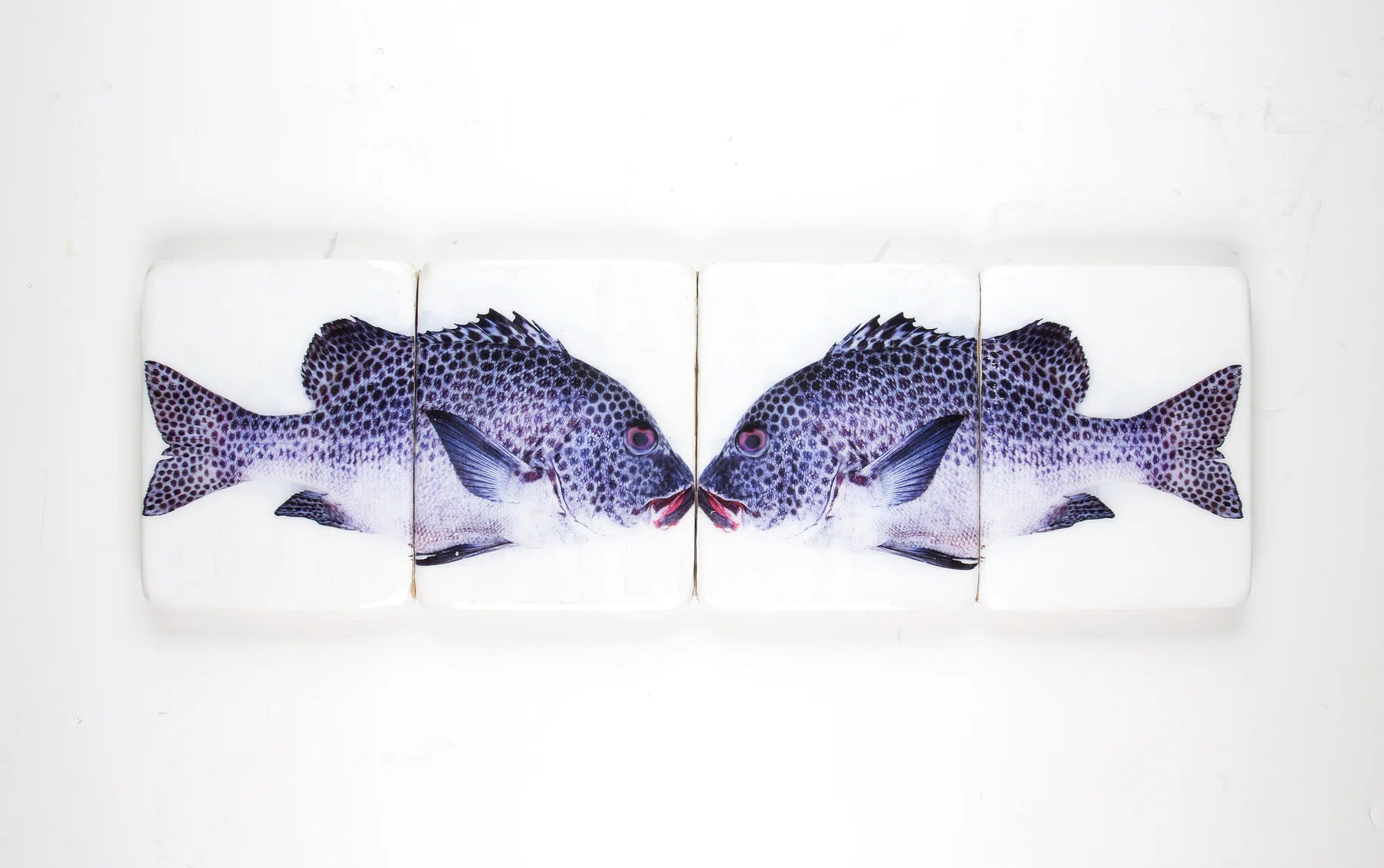 StigerWoods wooden tile Double Harlequin Sweetlips