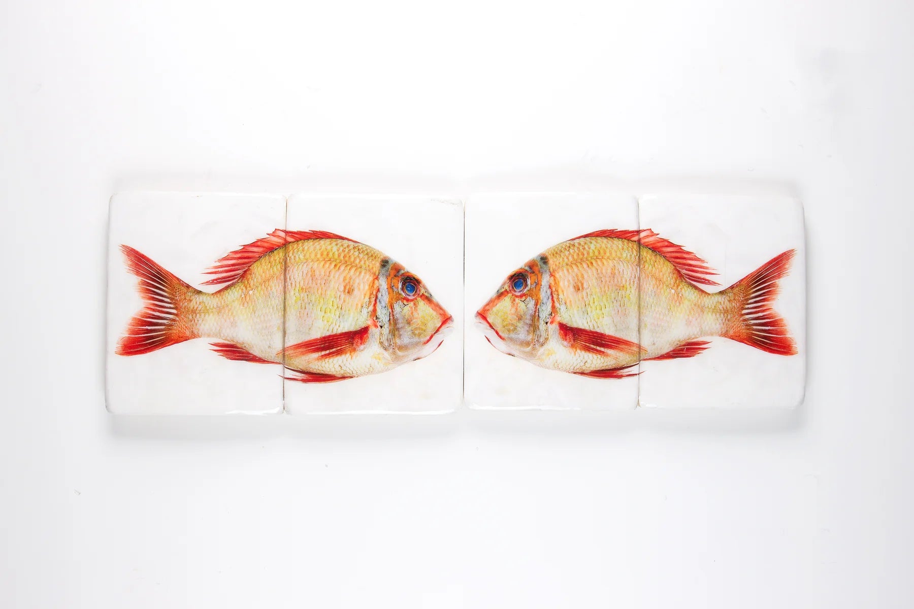 StigerWoods wooden tile Double Sweetlips Emperor
