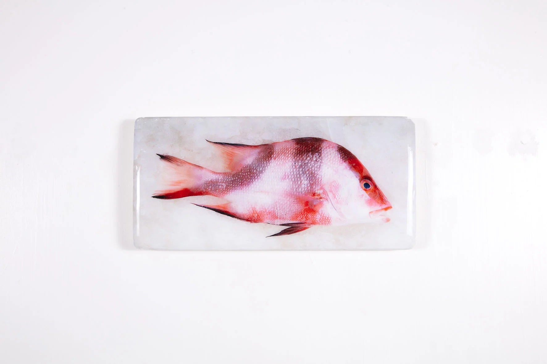 StigerWoods wooden tile Emperor Red Snapper
