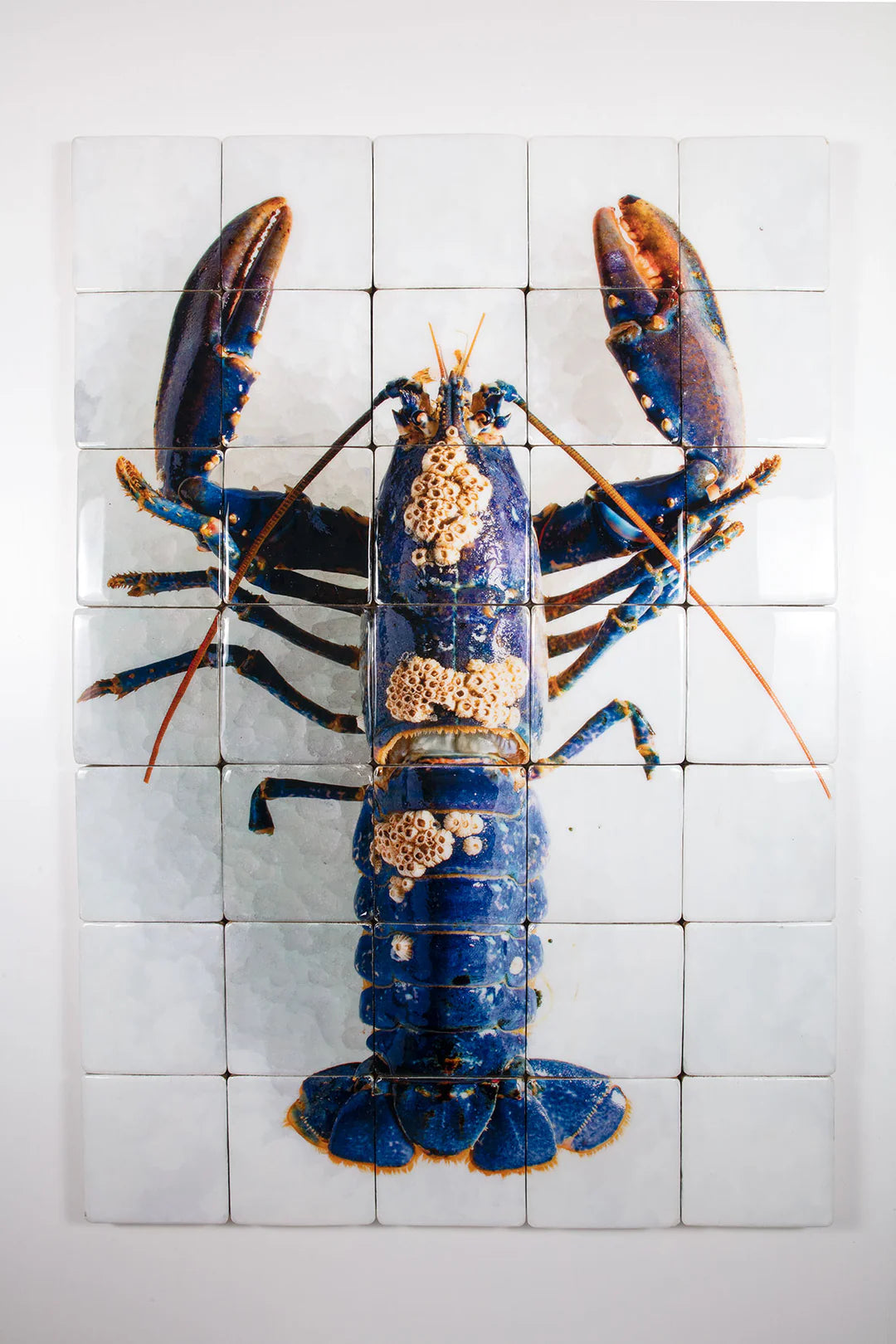 StigerWoods wooden tile European Lobster Barnacles