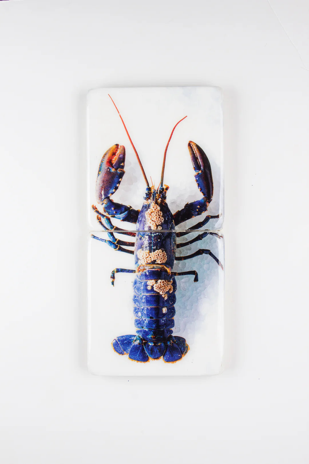 StigerWoods wooden tile European Lobster Barnacles