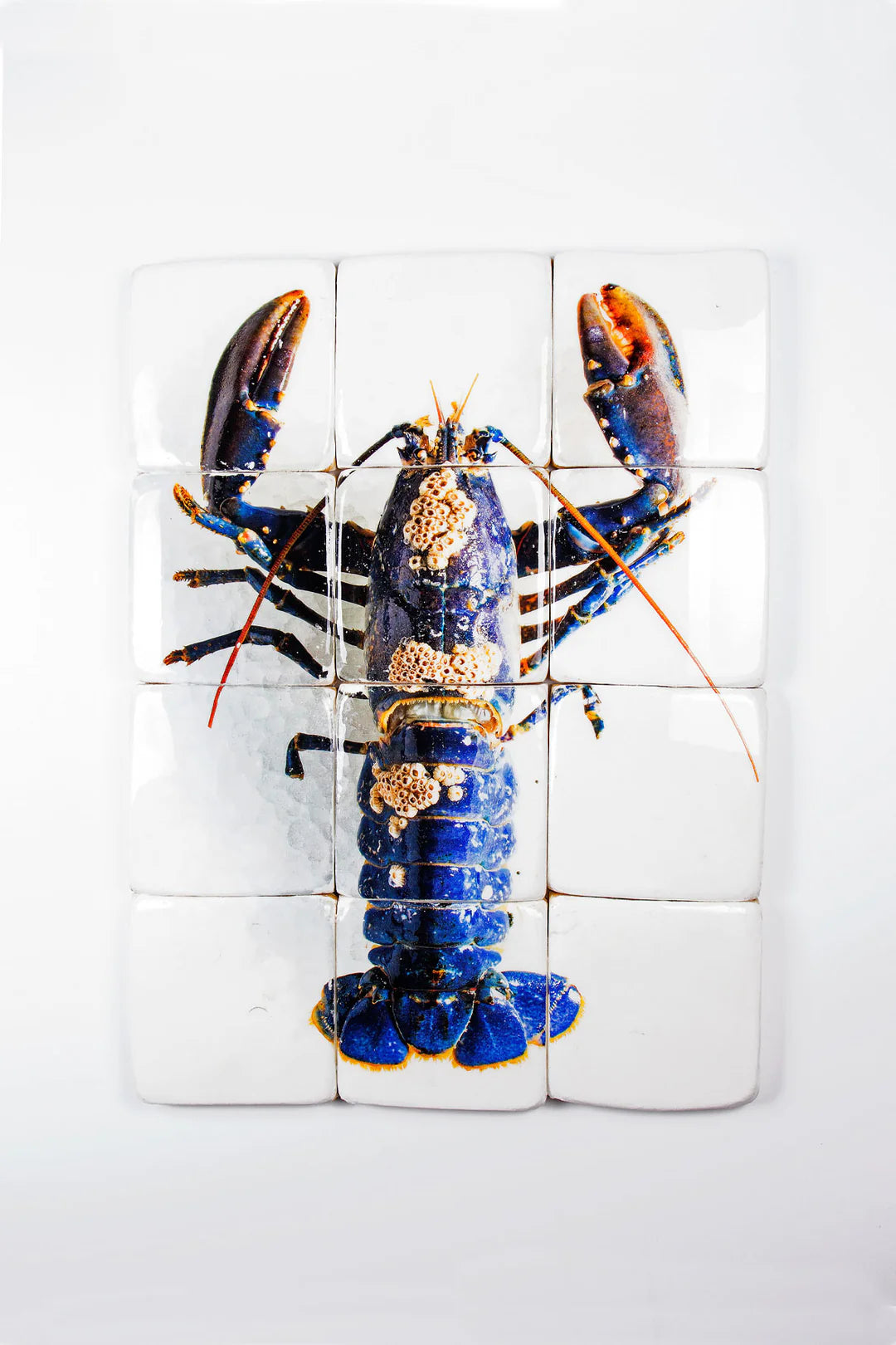 StigerWoods wooden tile European Lobster Barnacles
