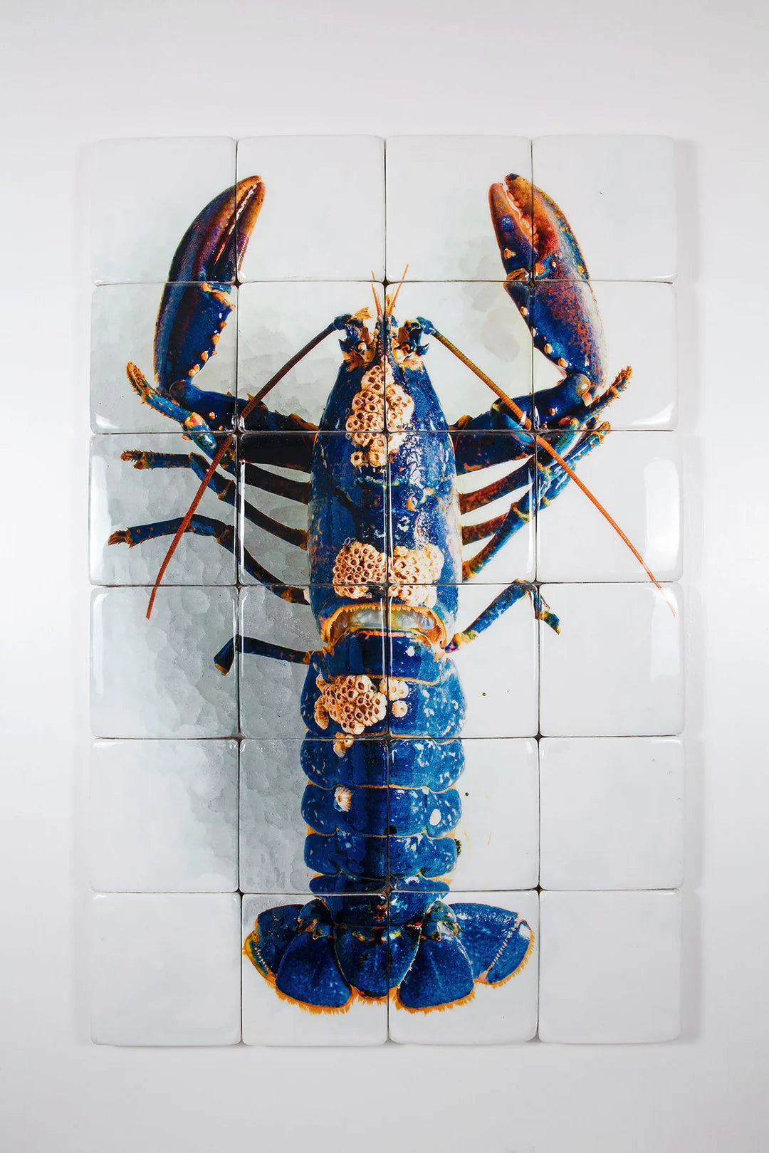 StigerWoods wooden tile European Lobster Barnacles