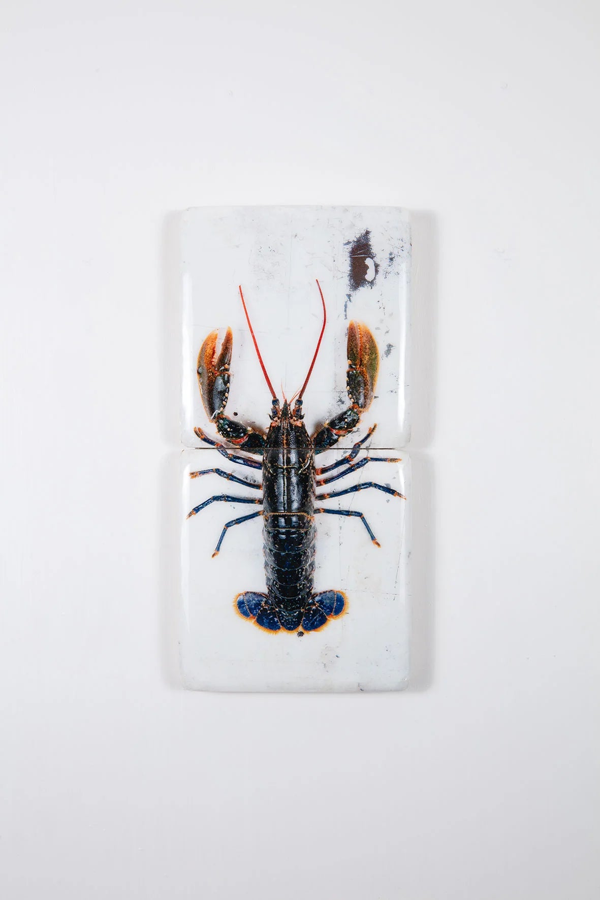 StigerWoods wooden tile European Lobster on White Table
