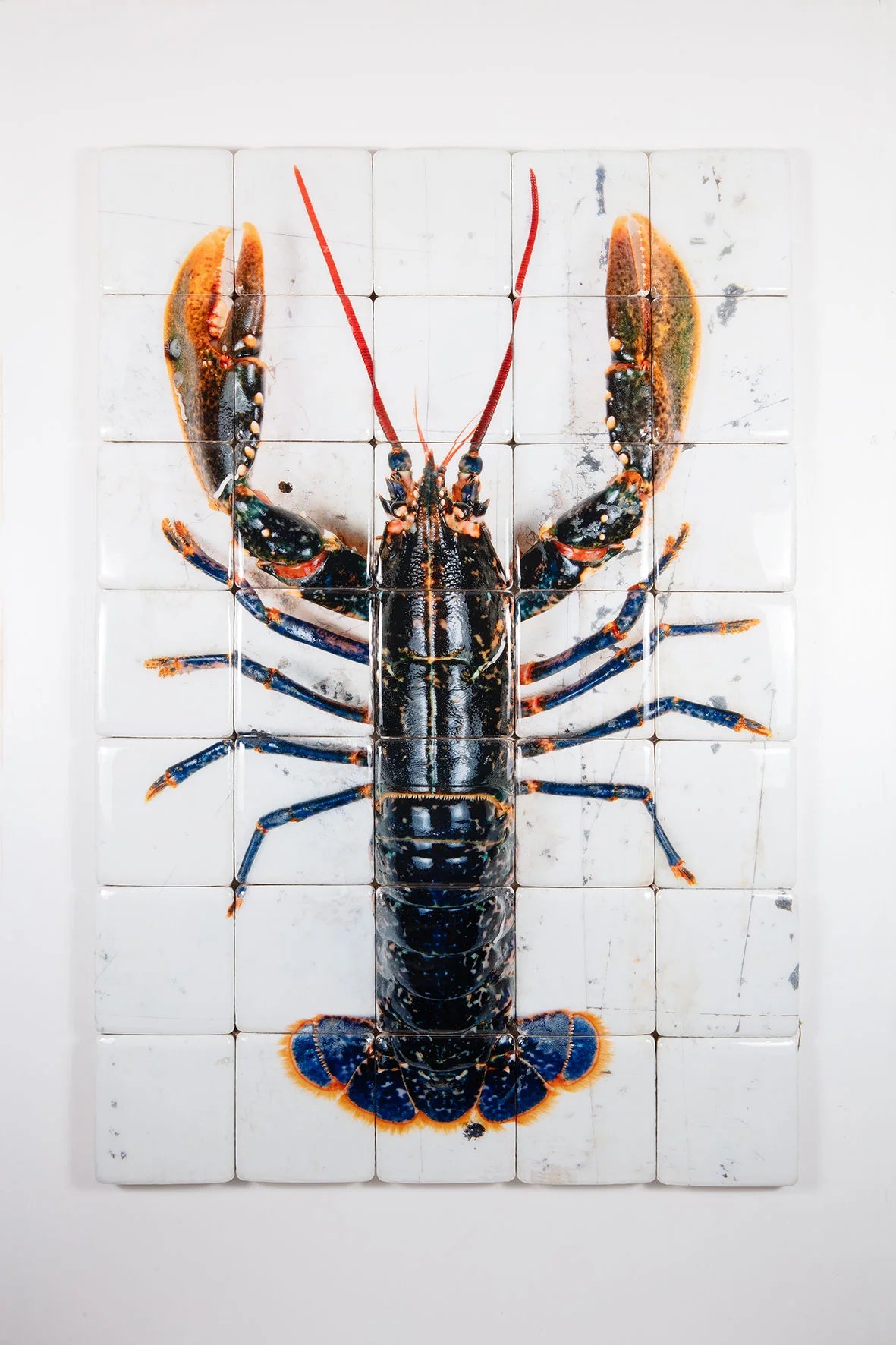 StigerWoods wooden tile European Lobster on White Table