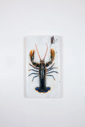 StigerWoods wooden tile European Lobster on White Table