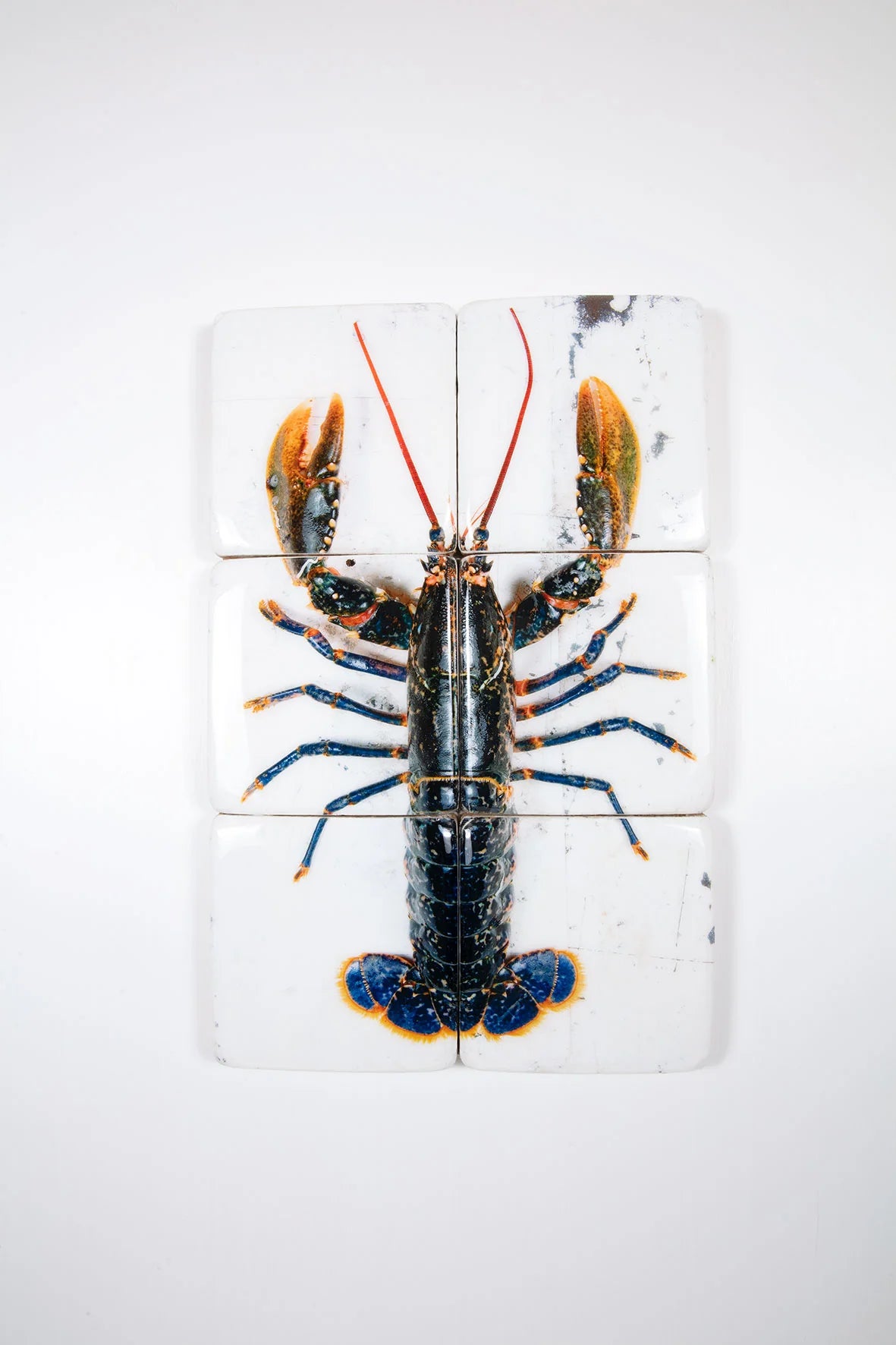 StigerWoods wooden tile European Lobster on White Table