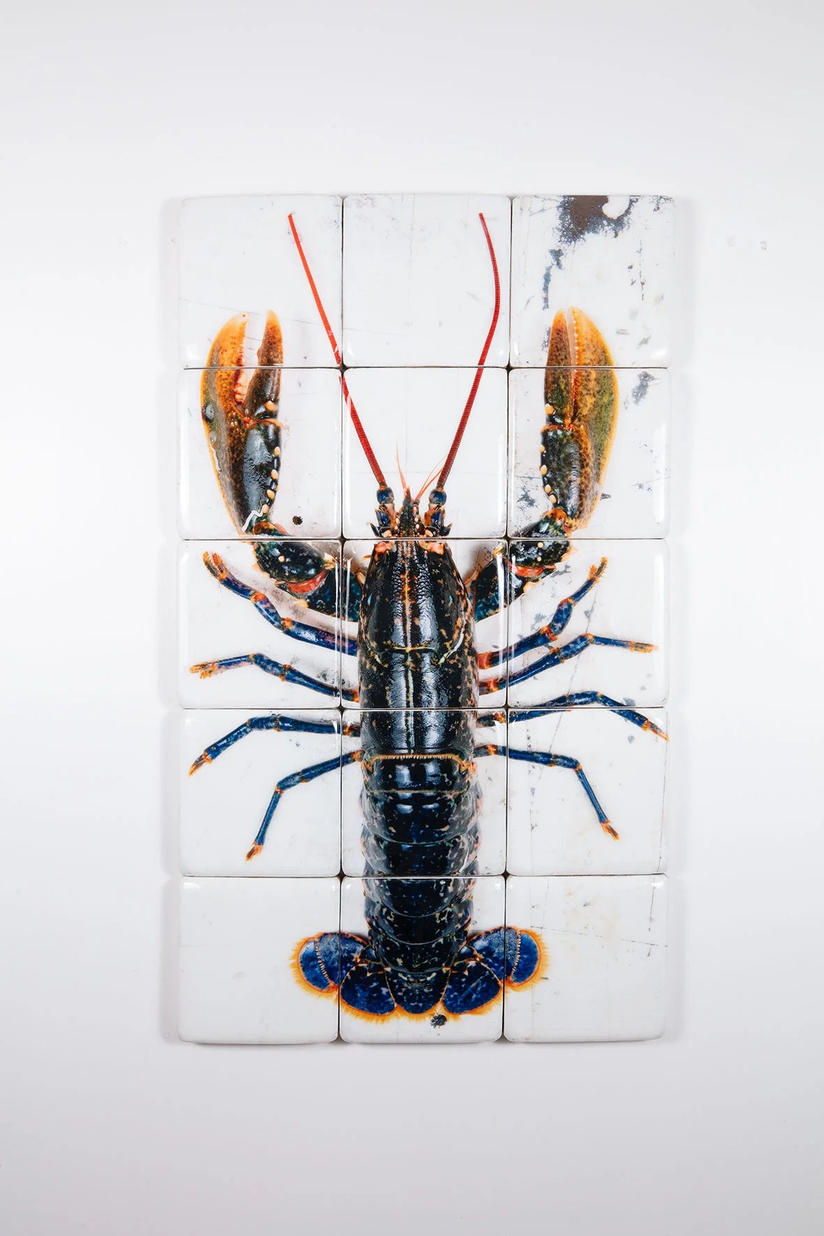 StigerWoods wooden tile European Lobster on White Table