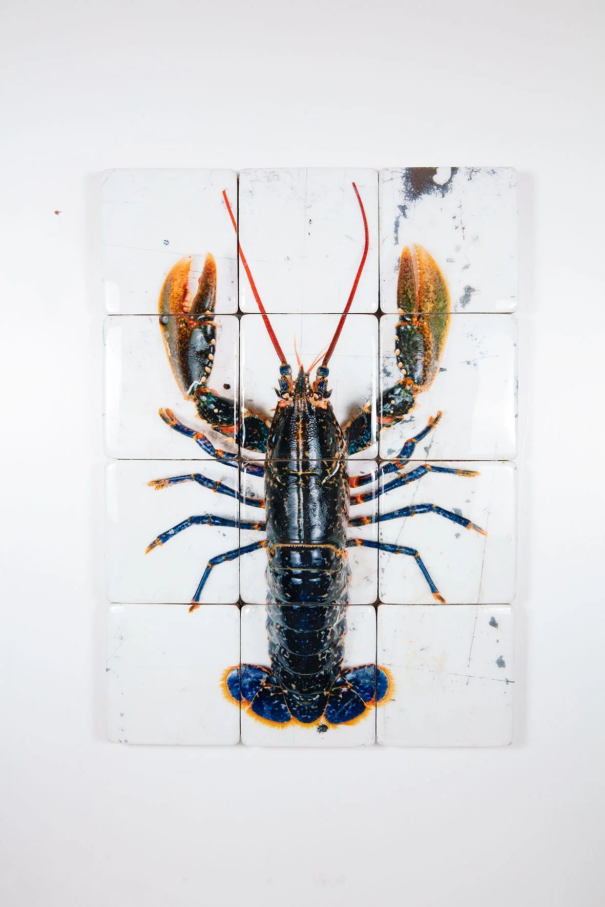 StigerWoods wooden tile European Lobster on White Table