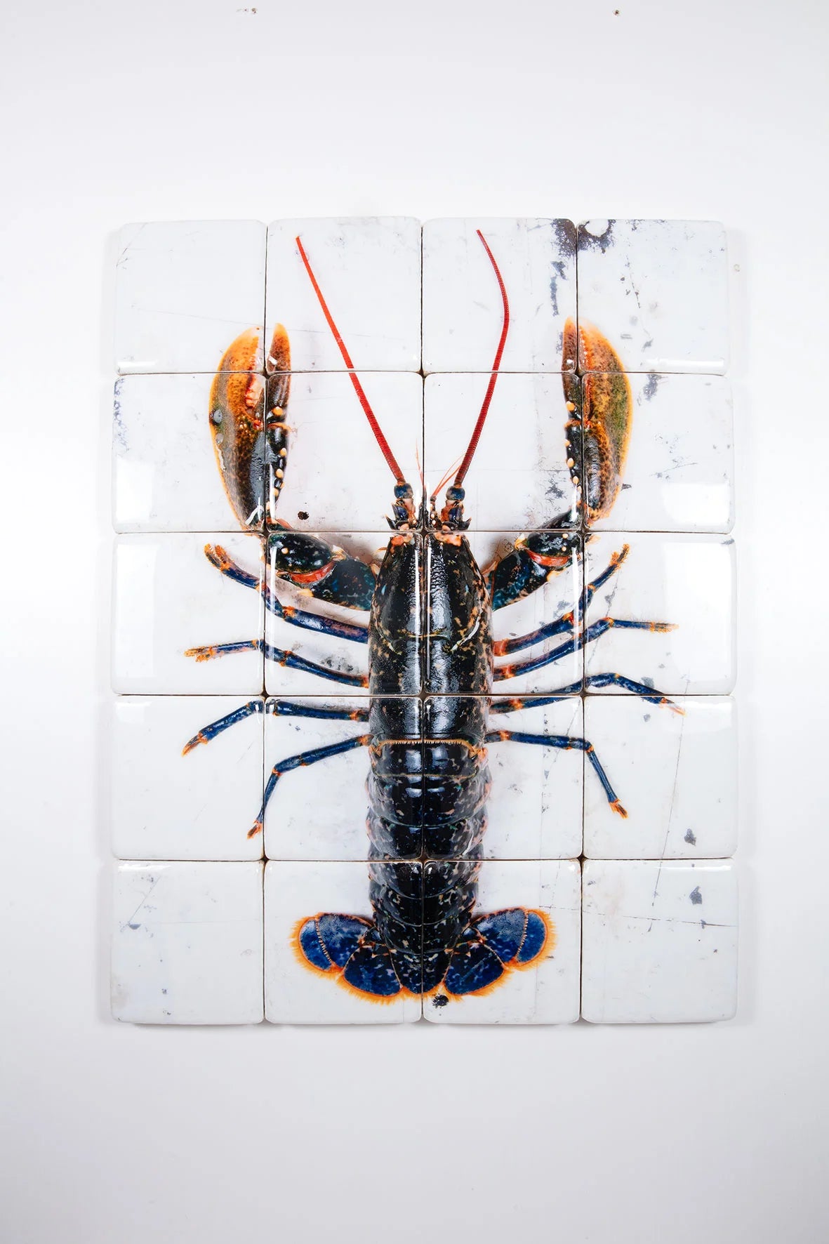 StigerWoods wooden tile European Lobster on White Table