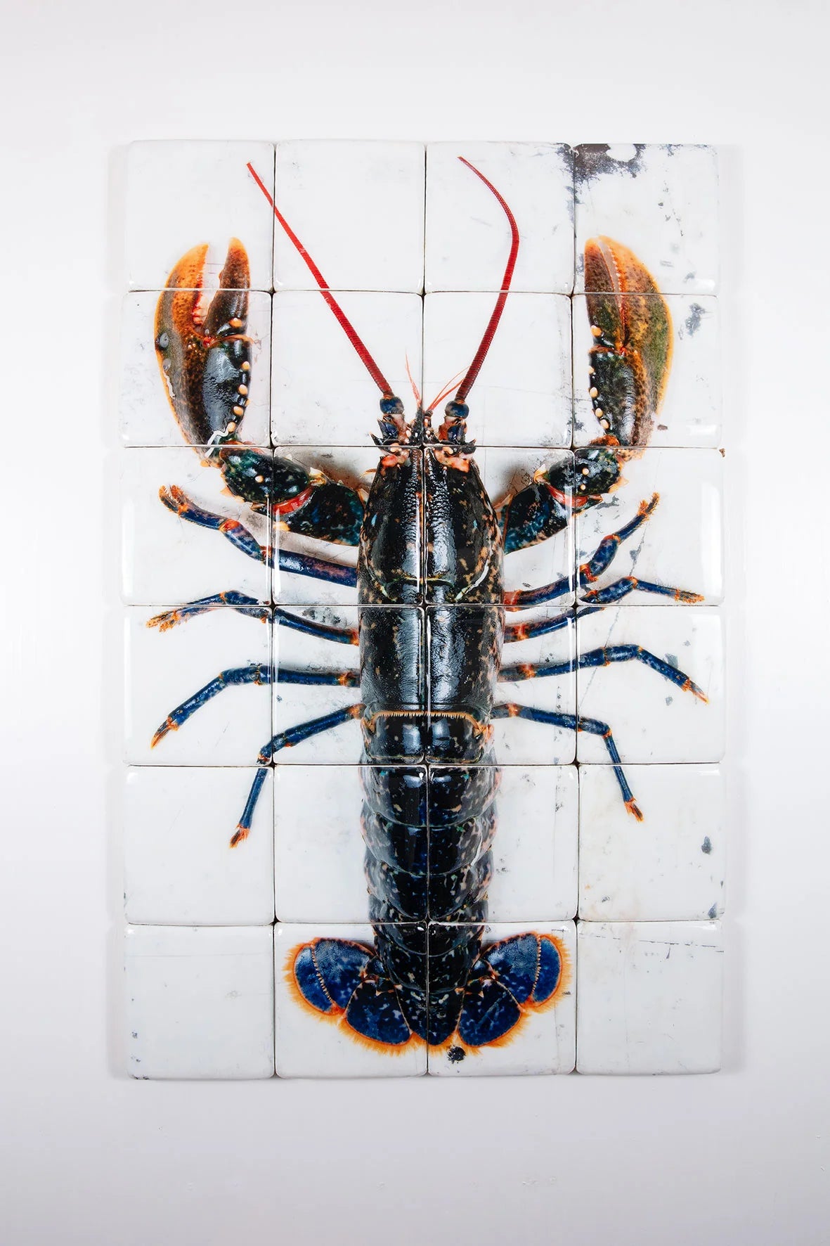 StigerWoods wooden tile European Lobster on White Table