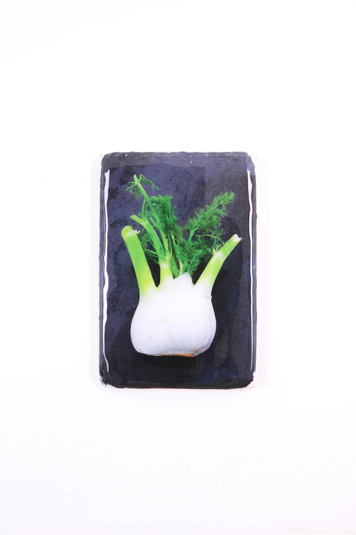 StigerWoods wooden tile Fennel on Black