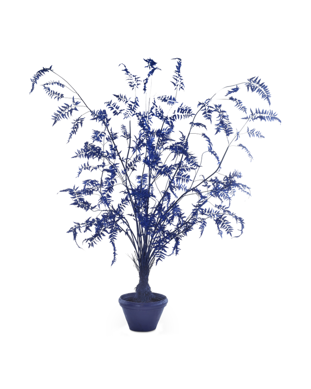 Pols Potten Fern in Pot