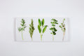 StigerWoods wooden tile Five Herbs
